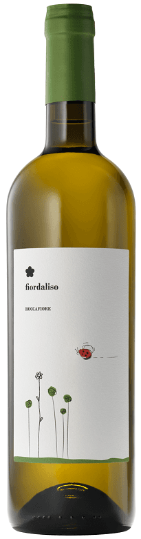 A wine product picture of Roccafiore Fiordaliso Bianco}